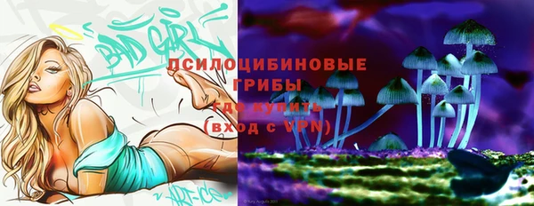 прущая мука Алзамай